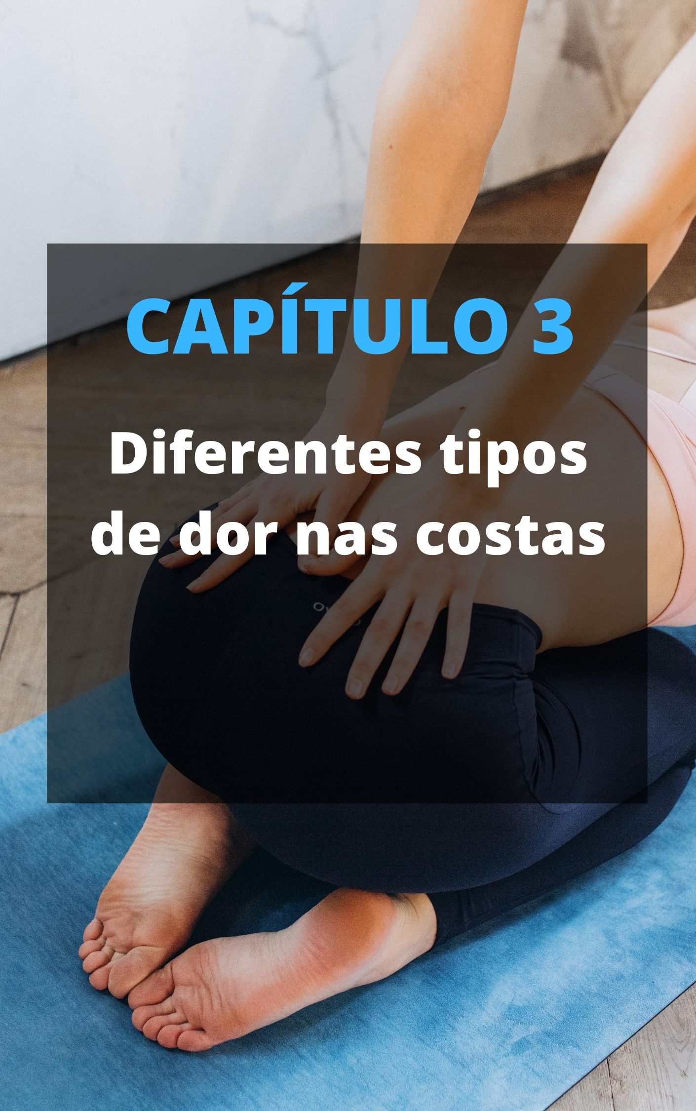 Capítulo 11